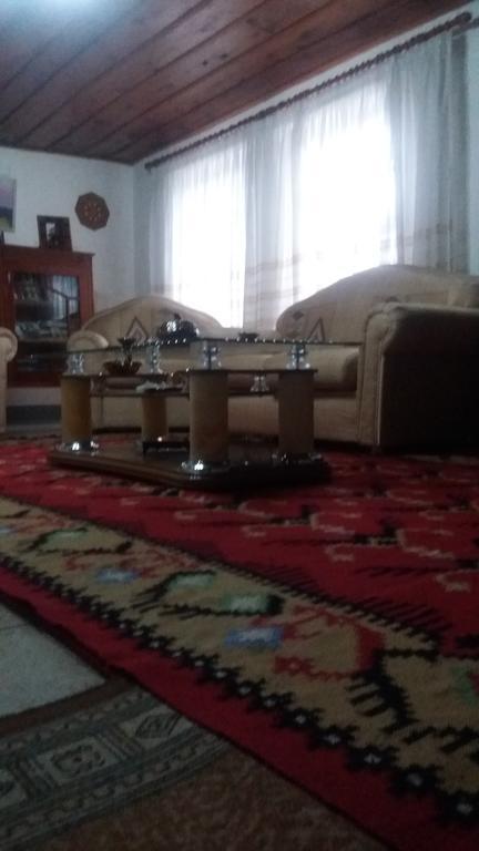Eva Guesthouse Gjirokastër Екстериор снимка